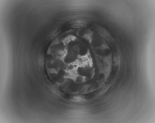 X0000111050753200907021619