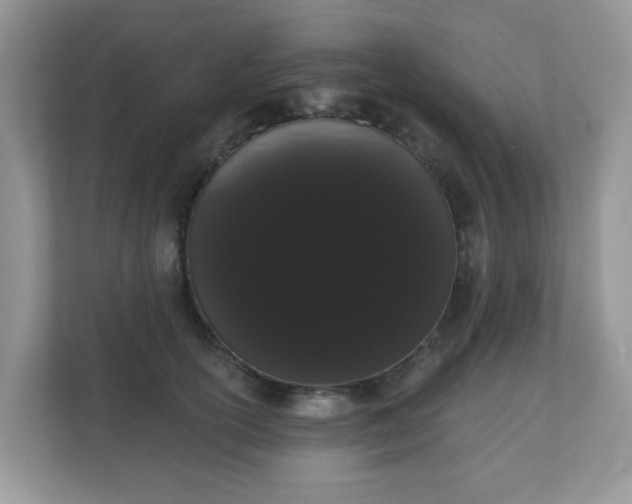 X0000111050754200907021619