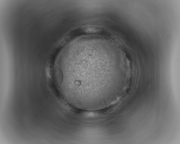 X0000111050755200907021619