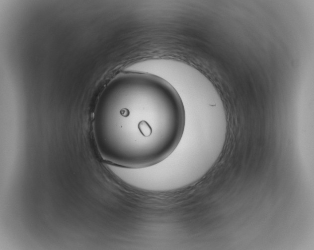 X0000111050756200907021619