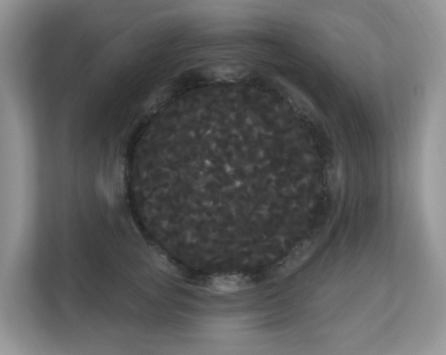 X0000111050757200907021619