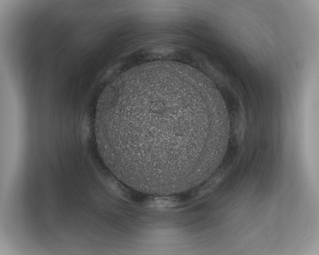 X0000111050758200907021619