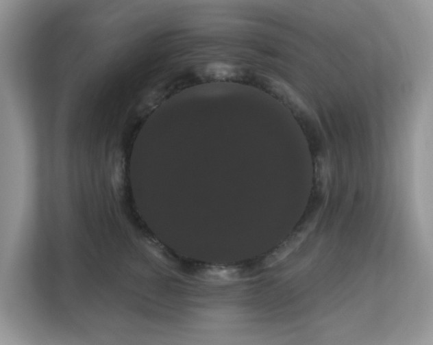 X0000111050760200907021619