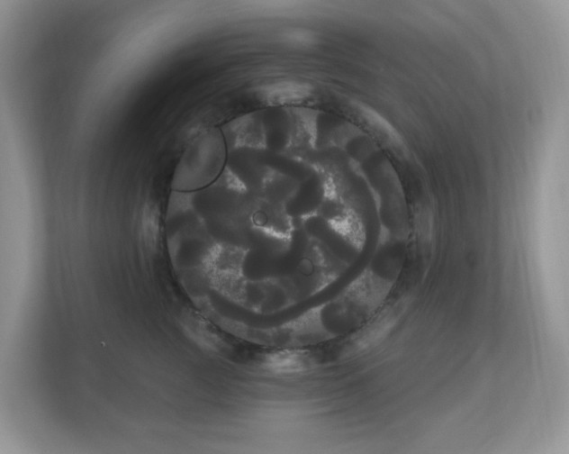 X0000111050761200907021619