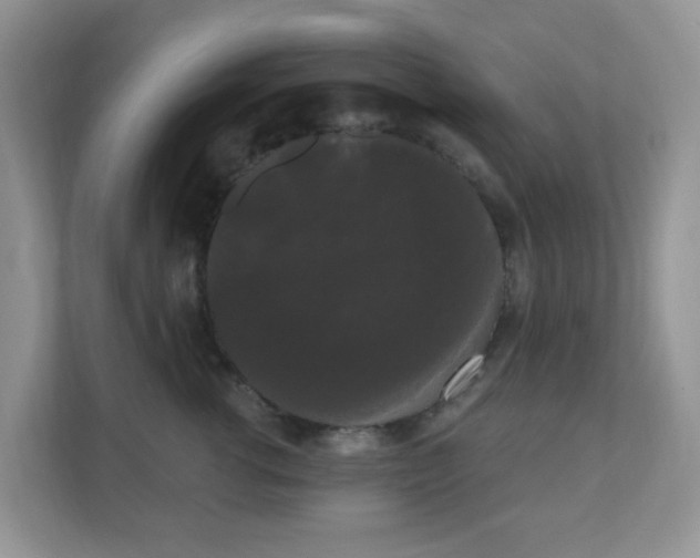 X0000111050762200907021619