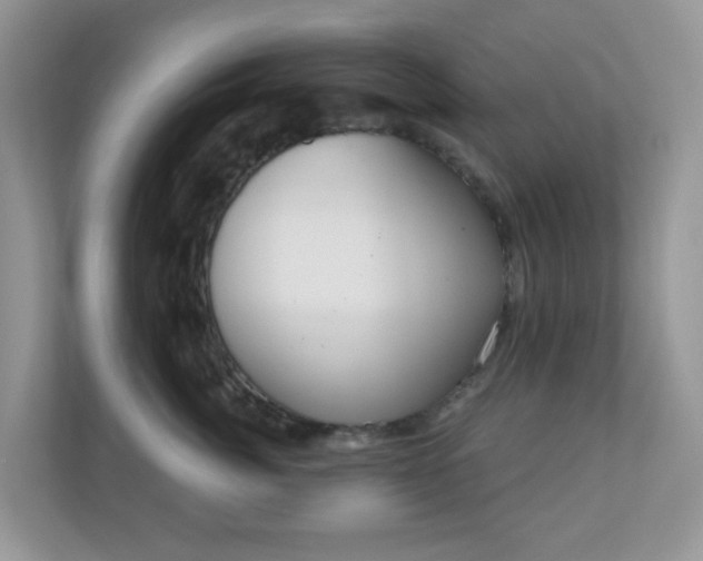 X0000111050764200907021619