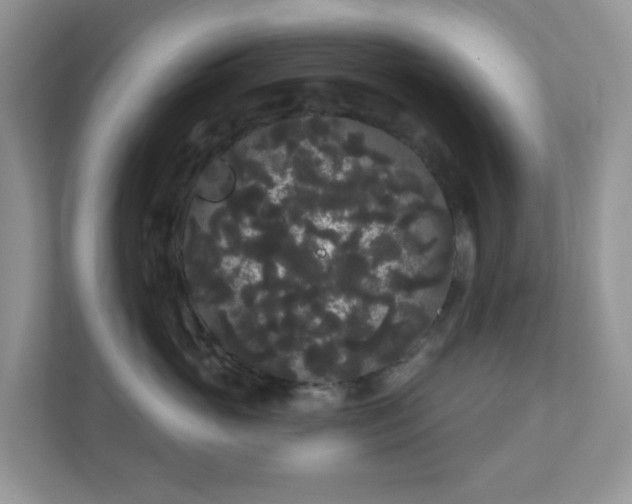 X0000111050765200907021619