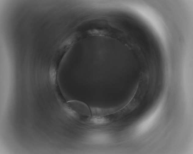 X0000111050767200907021619