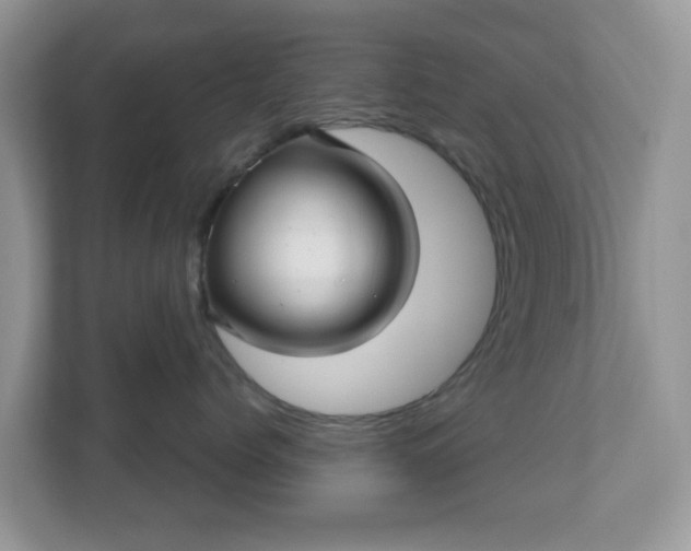 X0000111050768200907021619