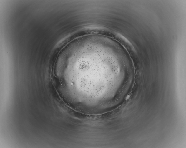 X0000111050775200907021619