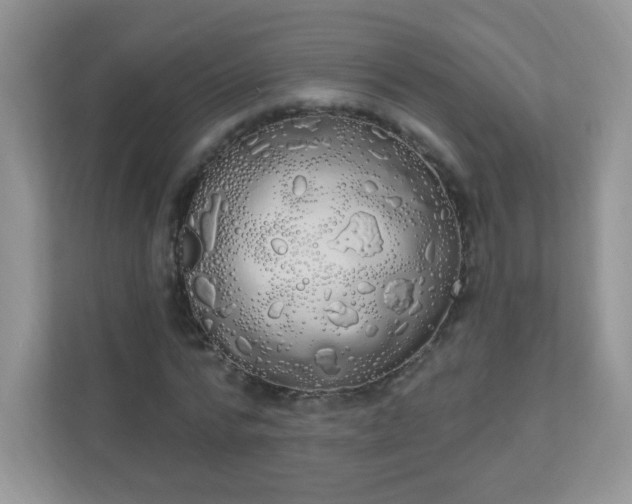 X0000111050776200907021619