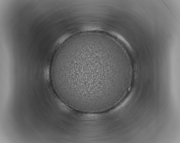 X0000111050777200907021619