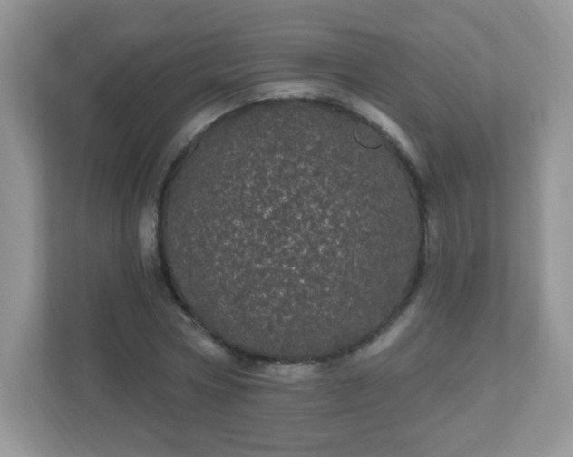 X0000111050778200907021619