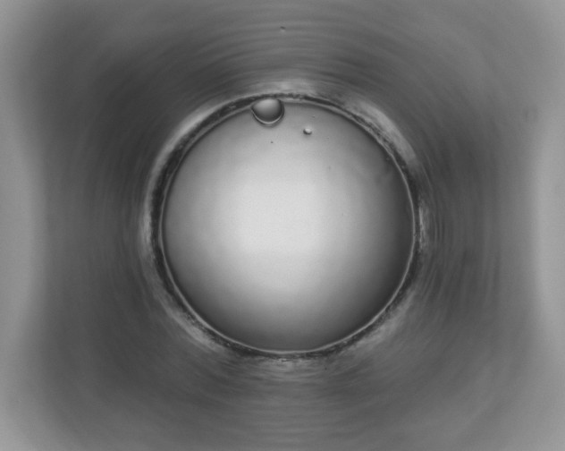 X0000111050780200907021619