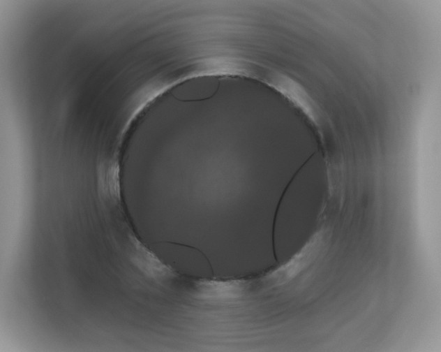 X0000111050781200907021619