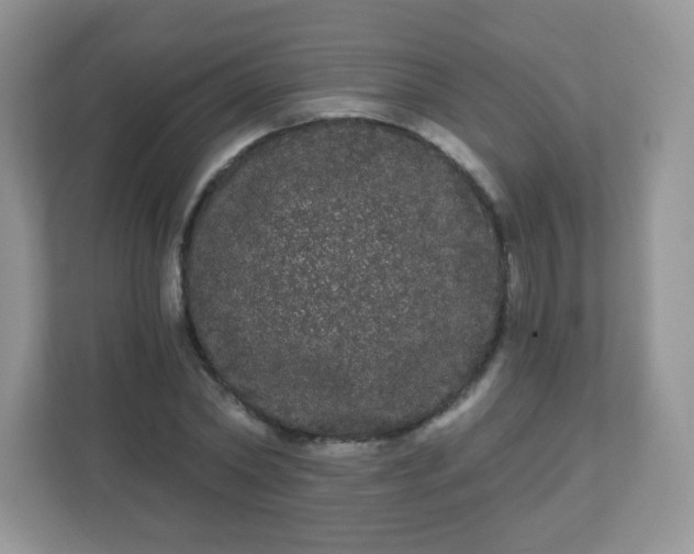 X0000111050782200907021619