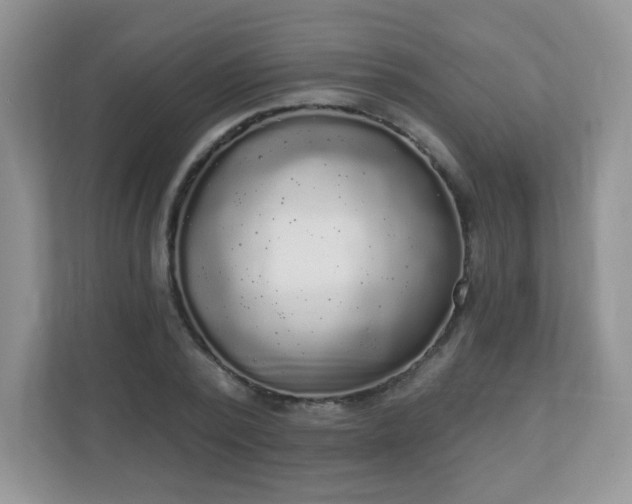 X0000111050784200907021619