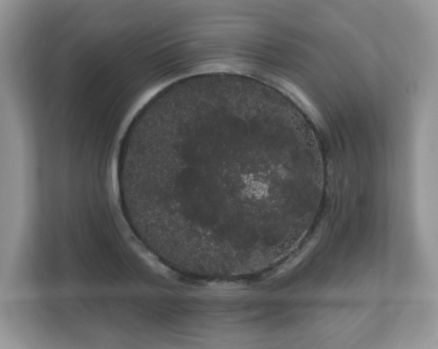 X0000111050788200907021618