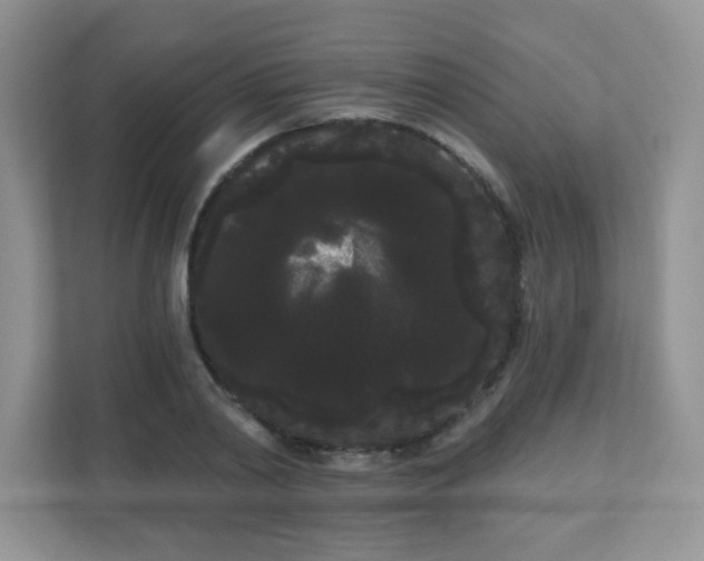 X0000111050790200907021618