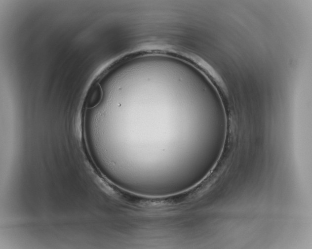 X0000111050791200907021618