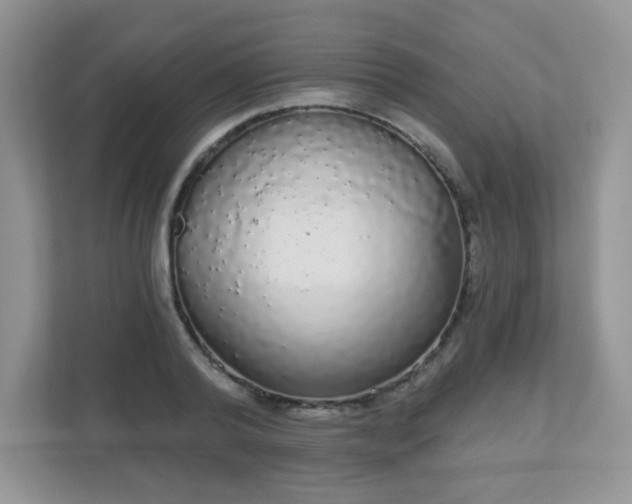 X0000111050792200907021618