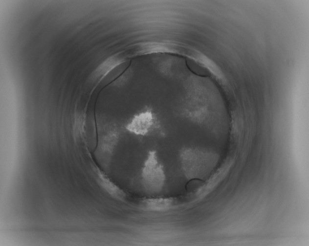 X0000111050793200907021618