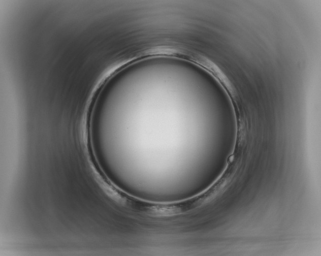 X0000111050795200907021618