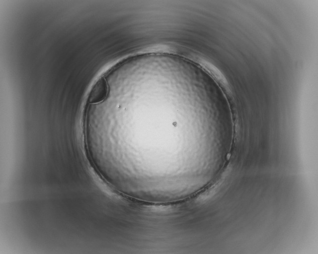 X0000111050800200907021618