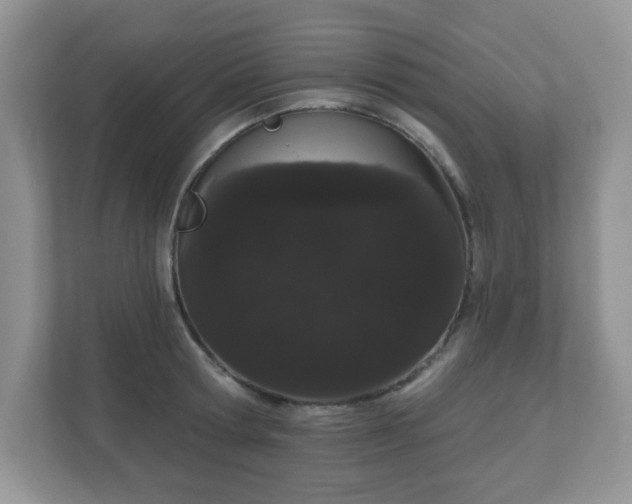 X0000111050802200907021618