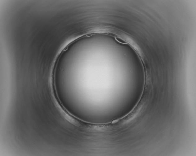 X0000111050803200907021618