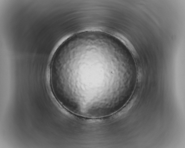 X0000111050804200907021618