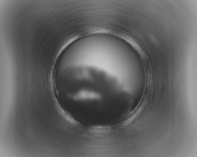 X0000111050806200907021618