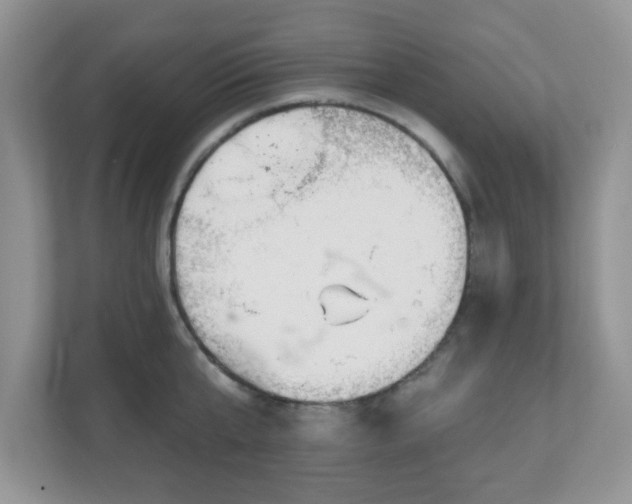 X0000111050807200907021618