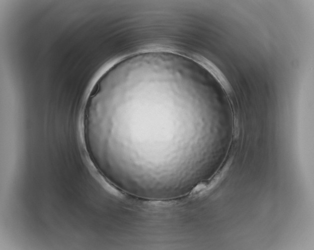 X0000111050812200907021618