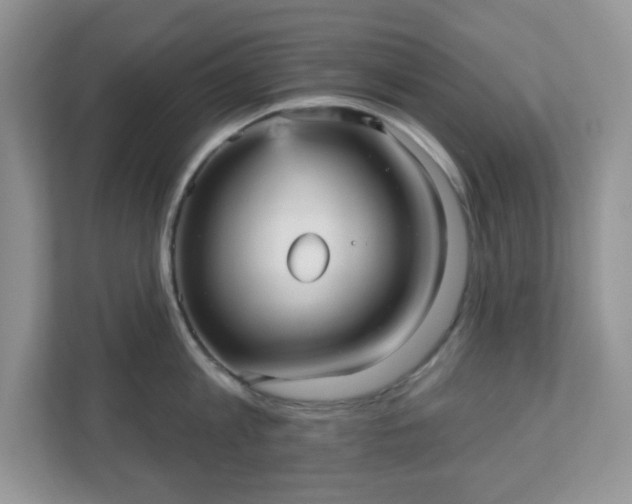 X0000111050813200907021618