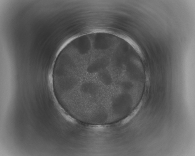 X0000111050814200907021618