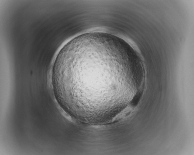 X0000111050816200907021618