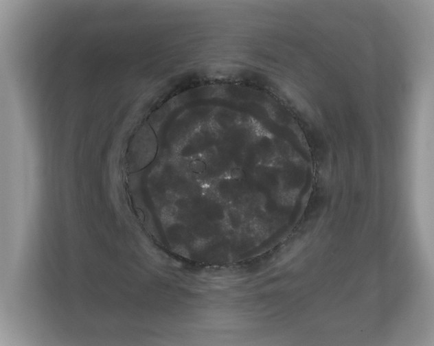 X0000111050817200907021617