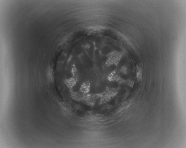 X0000111050819200907021618