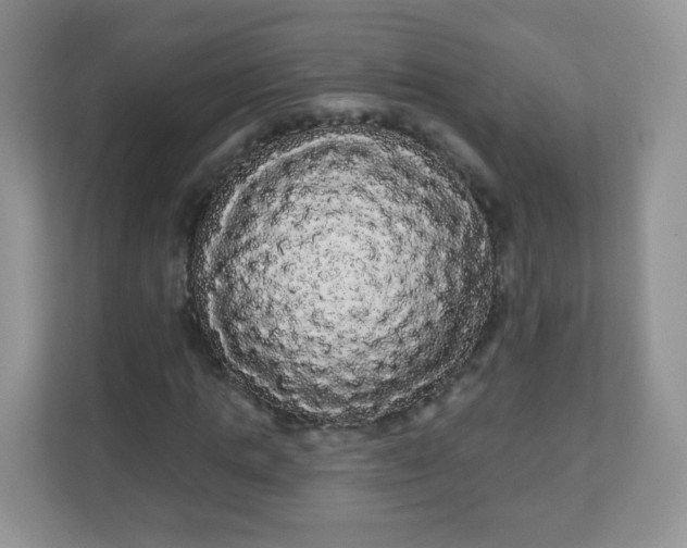 X0000111050821200907021618