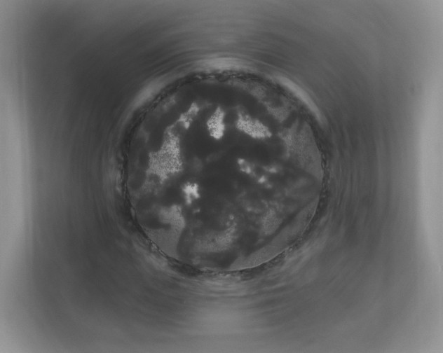 X0000111050823200907021618