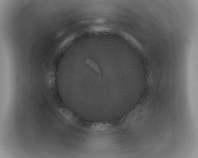 X0000111050824200907021618