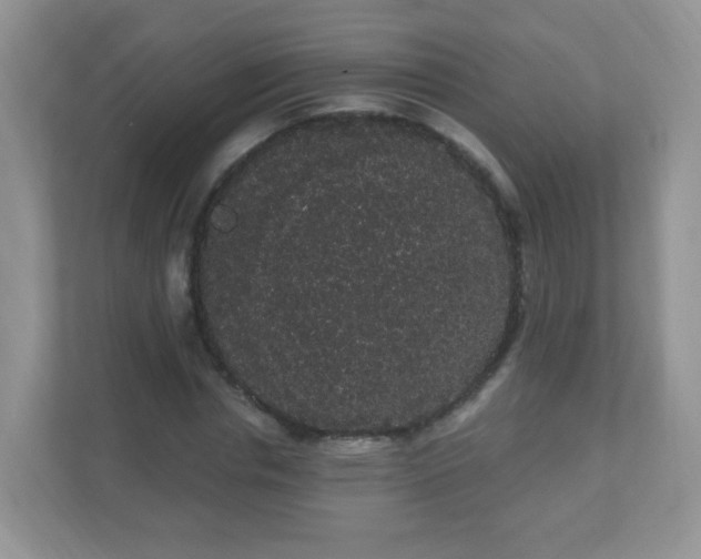 X0000111050826200907021618