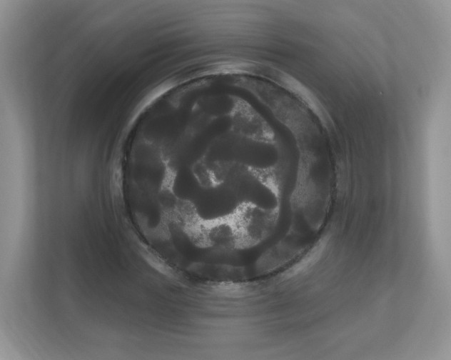 X0000111050827200907021618