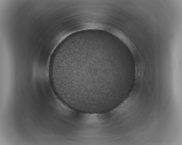 X0000111050828200907021618