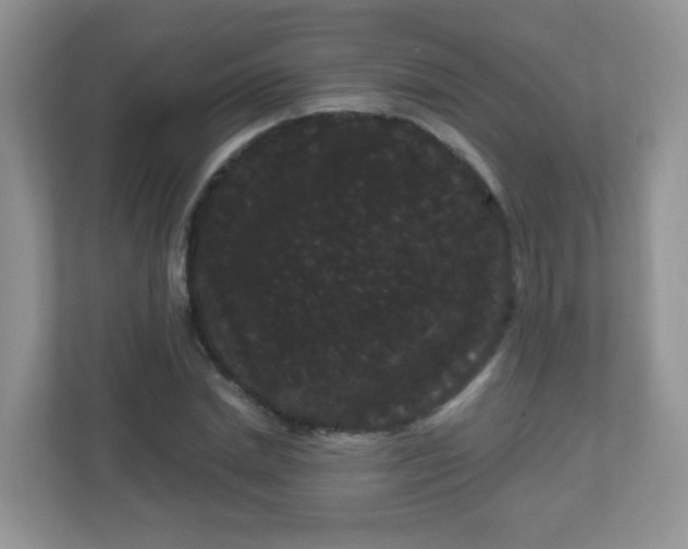 X0000111050830200907021618