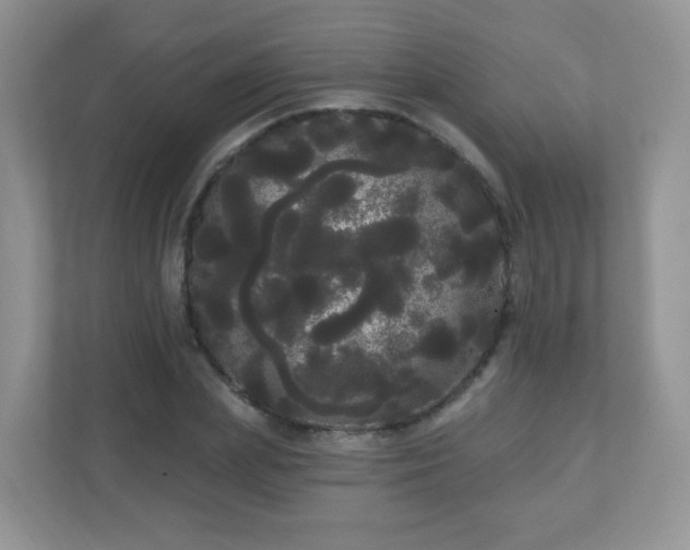 X0000111050831200907021618