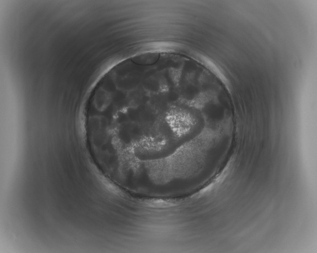 X0000111050835200907021618