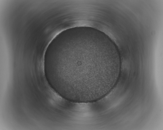 X0000111050836200907021618