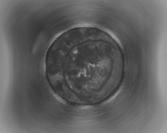 X0000111050837200907021618